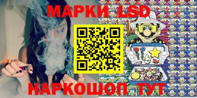 spice Кинель