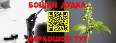 spice Кинель