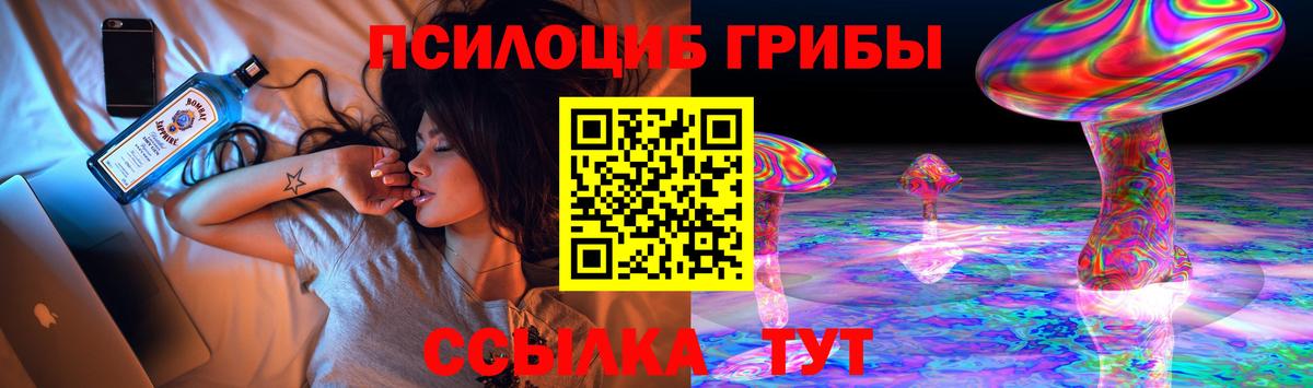 Псилоцибиновые грибы мицелий Корсаков