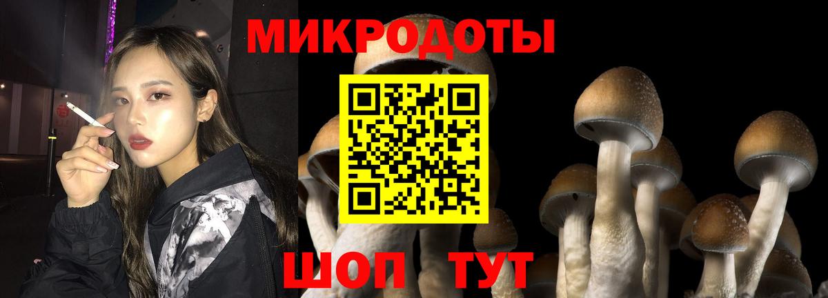 Корсаков  Галлюциногенные грибы GOLDEN TEACHER  Вход с VPN 